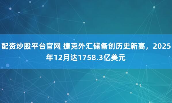 配资炒股平台官网 捷克外汇储备创历史新高，2025年12月达1758.3亿美元