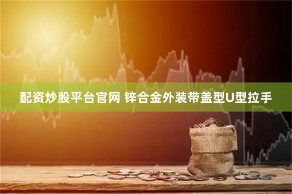 配资炒股平台官网 锌合金外装带盖型U型拉手