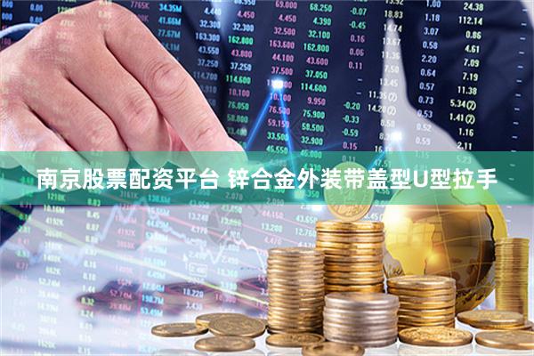 南京股票配资平台 锌合金外装带盖型U型拉手