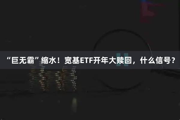 “巨无霸”缩水！宽基ETF开年大赎回，什么信号？
