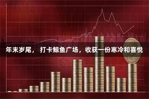 年末岁尾， 打卡鲸鱼广场，收获一份寒冷和喜悦