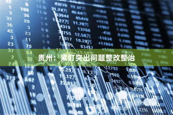 贵州：紧盯突出问题整改整治
