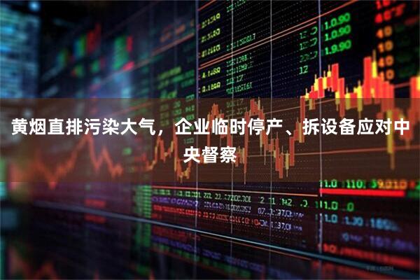黄烟直排污染大气，企业临时停产、拆设备应对中央督察